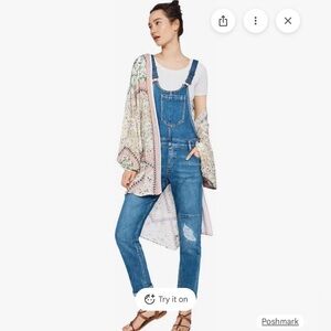 Pilcro and the Letterpress Faye Distressed Denim Overalls